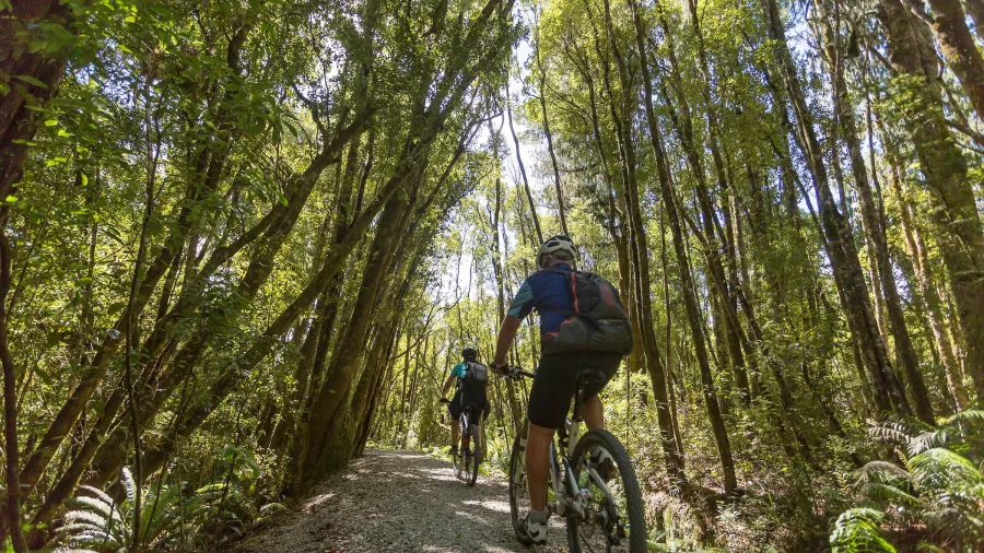 Cyclists riding along the Lake Kaniere Water Race trail on the West Coast