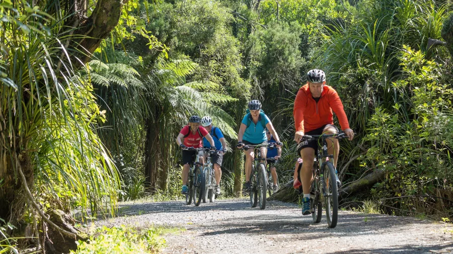 Cyclists riding through lush native bush at Paroa on the West Coast Wilderness Trail