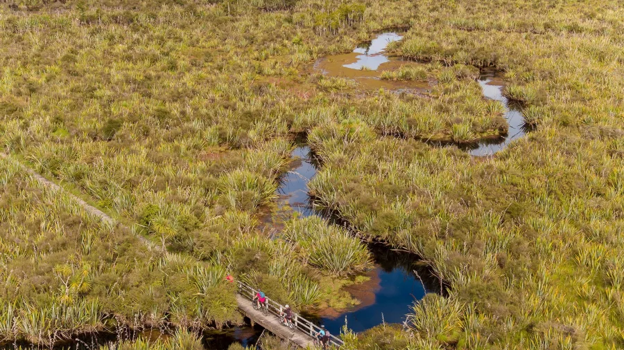 Aerial view of cyclists riding through the Mahinapua Wetlands on the West Coast Wilderness Trail