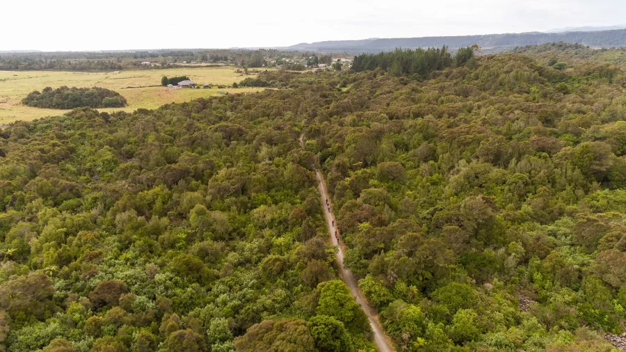 Cyclists riding through dense native bush on the West Coast Wilderness Trail near Kumara