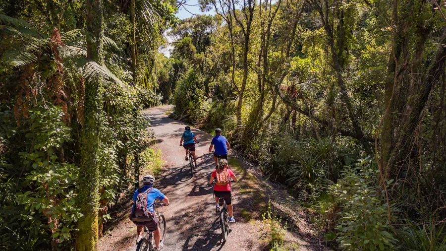 Group of cyclists riding through native forest in Paroa Bush on the West Coast Wilderness Trail