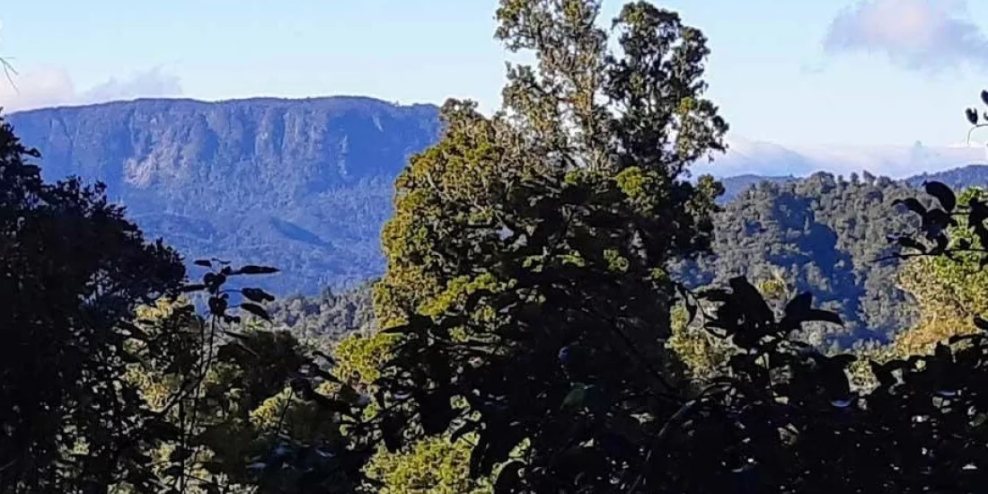 Xxlarge D9r FI Wy9 EAK Mh9 Wcn Bok ZK Bgv