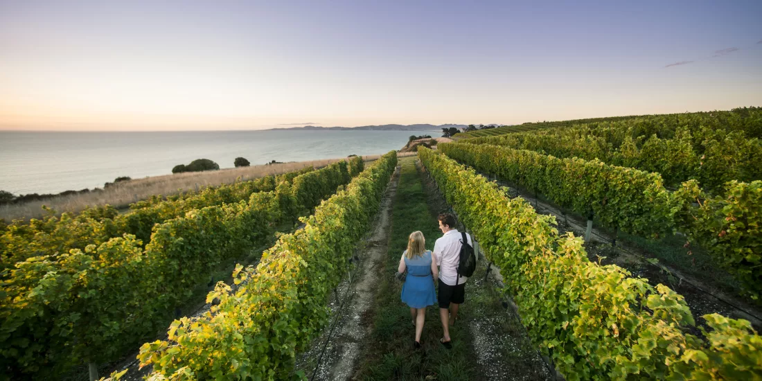 Xxlarge 6h YY6u X Sfw2 A Od U Ys L9pz Bou7