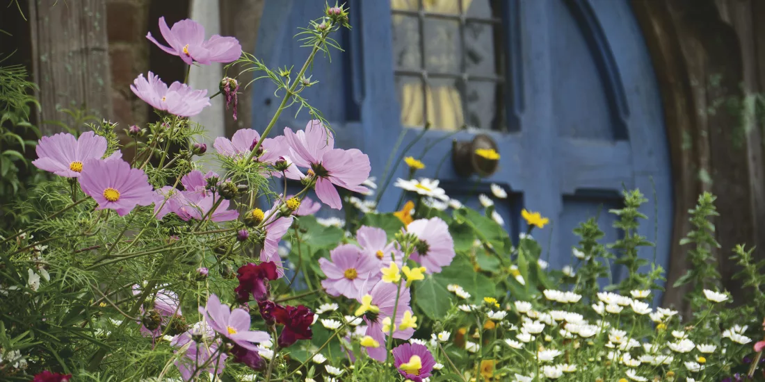 Close-up of wildflowers in front of a round blue Hobbit door at the Hobbiton Movie Set in Matamata, New Zealand
