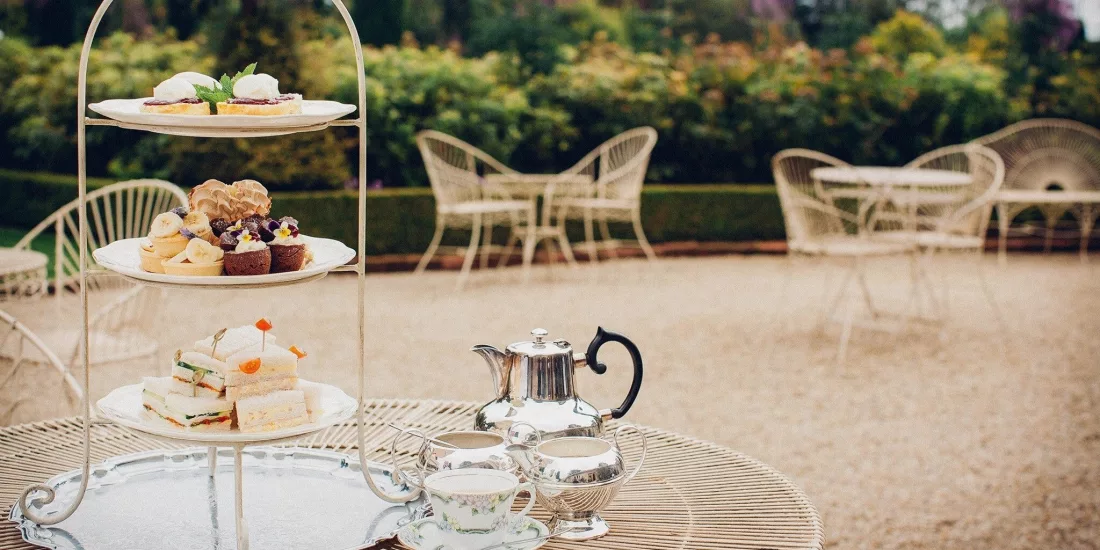 Xxlarge REW Pgc Gin2 CY0 X Fgr UH614c9d