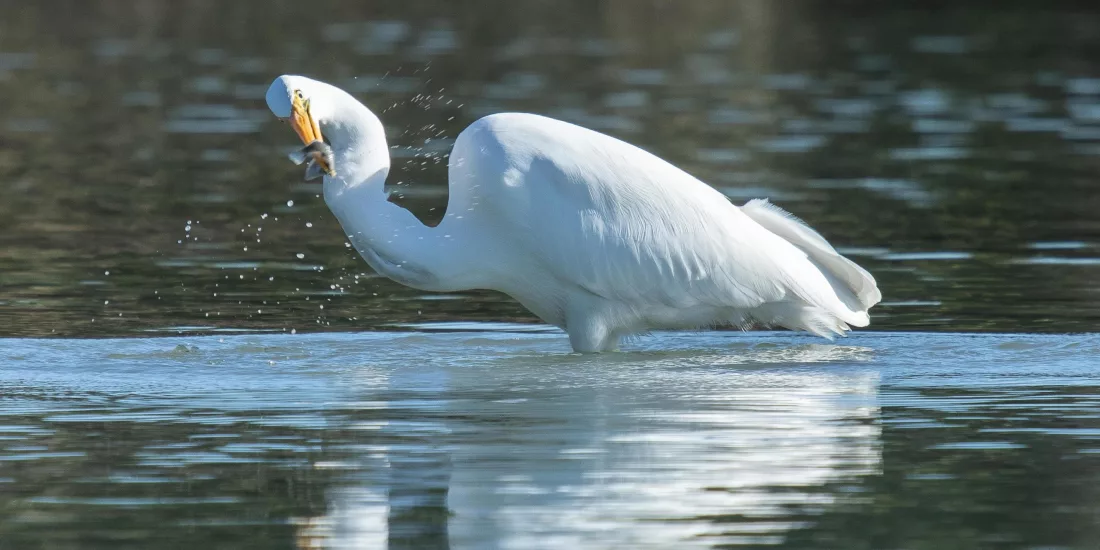 Xxlarge l8ni9p8 Mn2t Wqqb HWY Akgfmiv