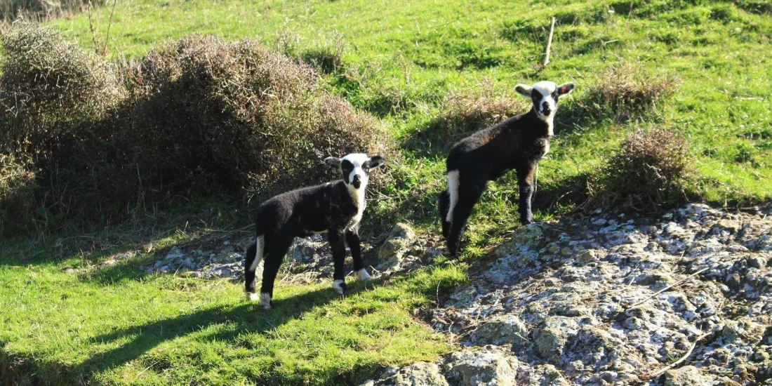 Xxlarge NC Hq4 REC Or4 X Ua Wq8gs0kuq UE