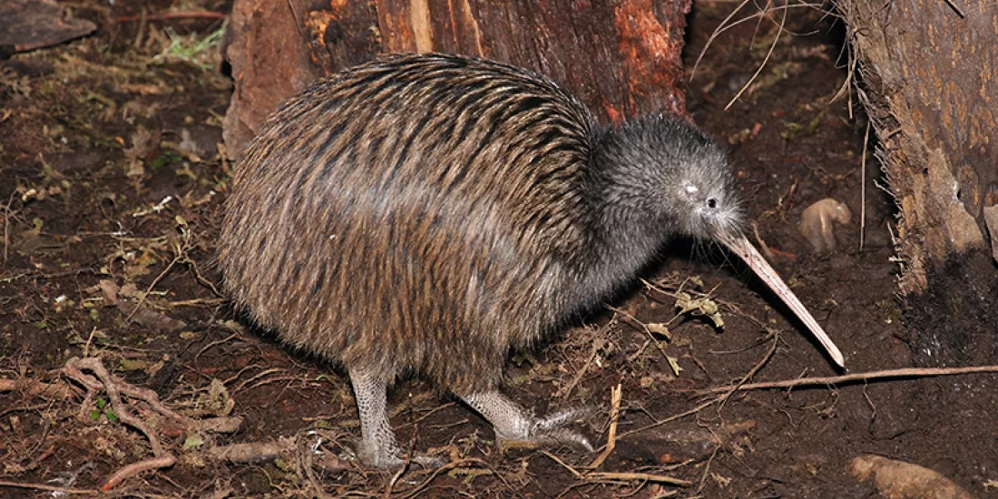 Xxlarge 20 IE Dv0 G Bhg5o I675dq99r Zm9