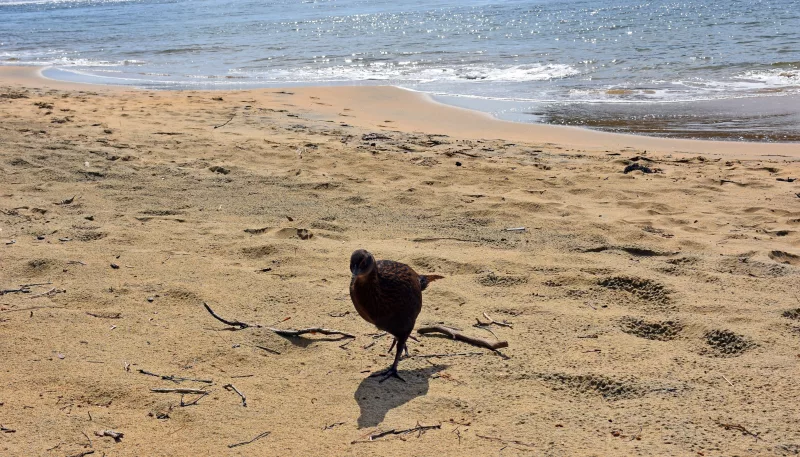 Xxlarge 4 D Tgrd Vwq X1g Foqaqgl K Ifu PF