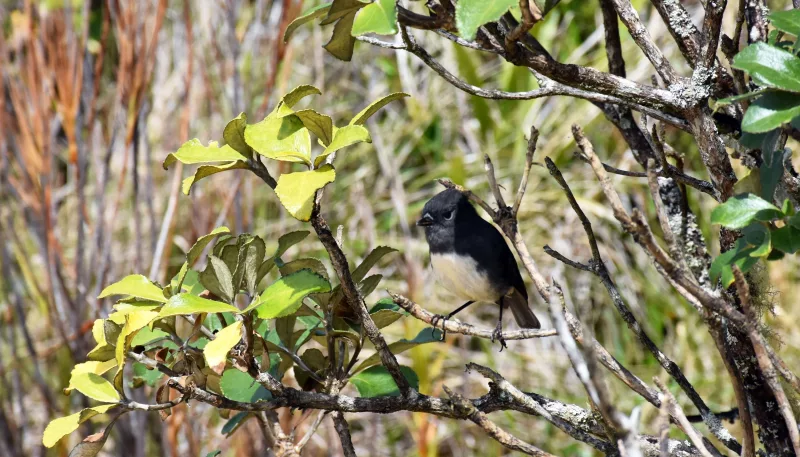 Xxlarge q R Tr38 ODCCP Gq B Ppc O Xhi6hf Z