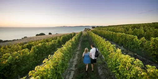 Xxlarge 6h YY6u X Sfw2 A Od U Ys L9pz Bou7