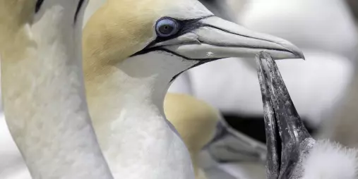 Xxlarge u Tcw Uw7rruk Lqg Kr Ga9 Gj4wy1