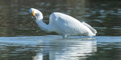 Xxlarge l8ni9p8 Mn2t Wqqb HWY Akgfmiv