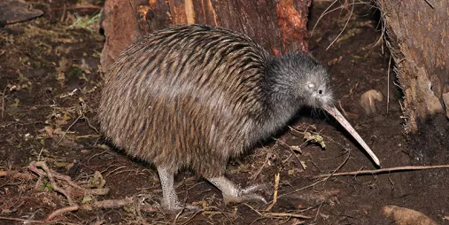 Xxlarge 20 IE Dv0 G Bhg5o I675dq99r Zm9