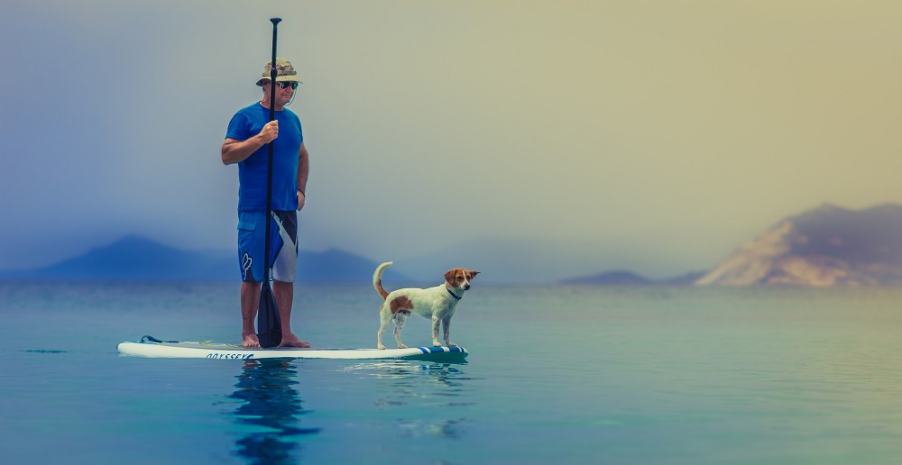 Paddleboarder with dog