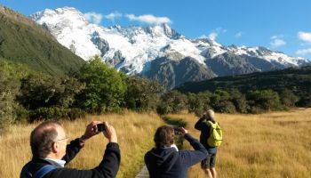 South Island Small Group Tours