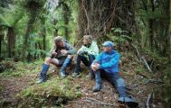 7 Day Fiordland, Hollyford and Stewart Island Trails