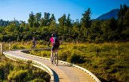 5 Day West Coast Wilderness Supported Cycle Trail