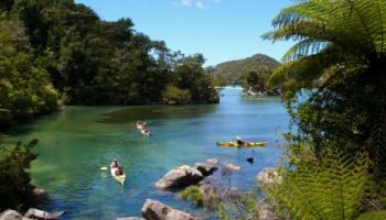 Abel Tasman Kayaking Break