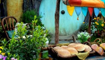 Hobbiton and Lord of the Rings Day Tours