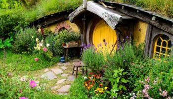 Hobbiton Movie Set Tours