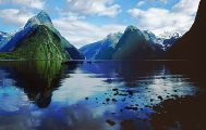 Milford Sound Discovery Small Group Tour + Add Cruise