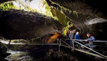 Te Anau Glow Worm Caves