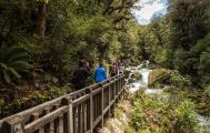 Milford Sound Coach, Cruise & Walk from Te Anau