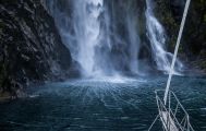 Milford Sound Experience Private Tour from Te Anau