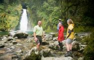 Milford Track Guided Walk & Scenic Cruise from Milford