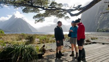Milford Track Guided Walk from Milford Sound 