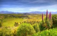 Full Day Wine Gourmet and Scenic Delights Tour from Blenheim