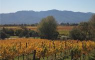 Private Wine Gourmet and Scenic Delights Tour from Picton