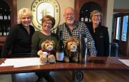 Private Winter Wine and Scenic Small Group Tour from Blenheim
