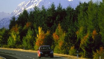 New Zealand Car Rental