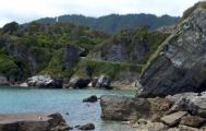 Golden Bay in a Day