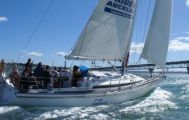 Auckland Harbour Sailing Cruise