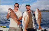 Snapper Private Afternoon Fishing Charter