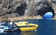 Bay of Islands Explorer Small Group Tour