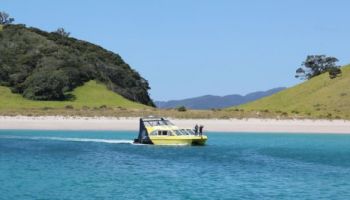 Bay of Islands Dolphin Eco Cruise