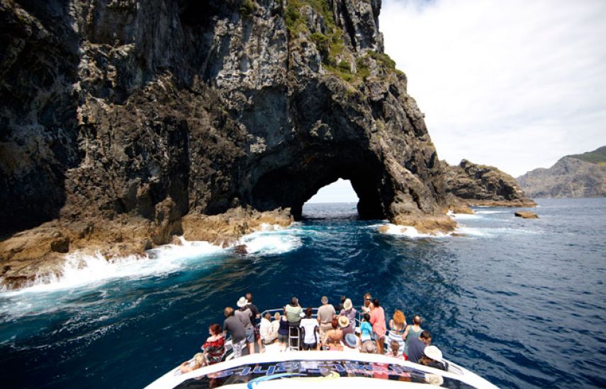 Explore the Bay of Islands 