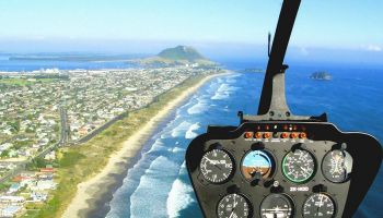 Bay of Plenty Tours and Activities