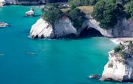 Coromandel Full Day Tour from Auckland