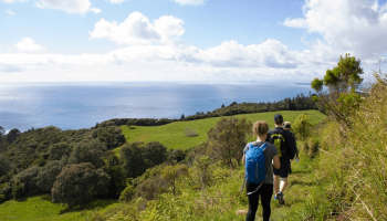 Coromandel Coast & Cuisine Experience Full Day Tour