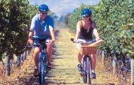 Wine Tour by Bike