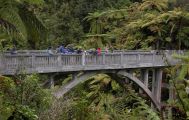 3 Day Whanganui National Park Guided Canoe