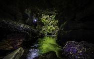 Glowing Adventures Glow Worm Eco-Tour