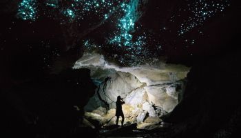 Glowing Adventures Glow Worm Cave Photography Tour