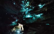 Glowing Adventures Private Glow Worm Cave Tour