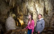 Waitomo Caves & Rotorua Small Group Tour including Te Puia